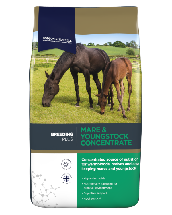 Dodson & Horrell Mare & Youngstock Concentrate