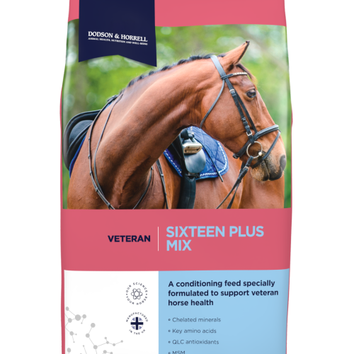 Dodson & Horrell Sixteen Plus Mix
